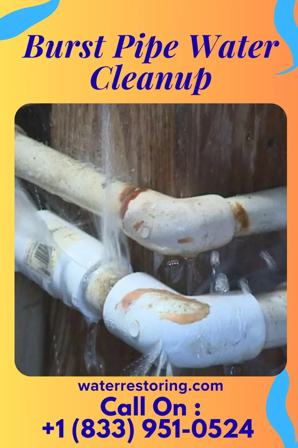 Burst Pipe Water Cleanup in Petersburg, VA