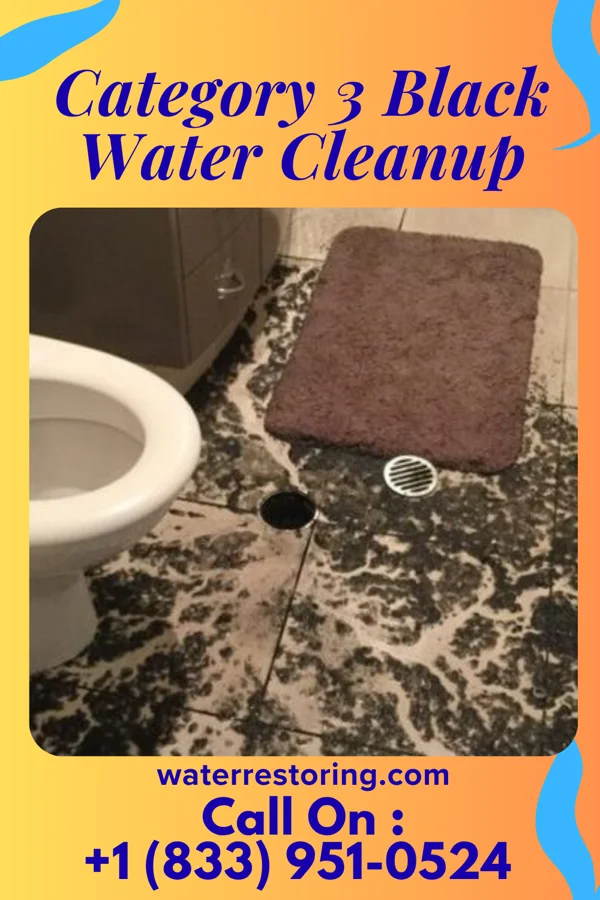 Category 3 Black Water Cleanup in Petersburg, VA