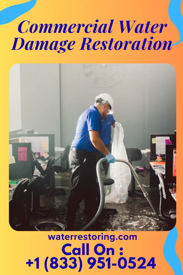 Commercial Water Damage Restoration in Petersburg, VA
