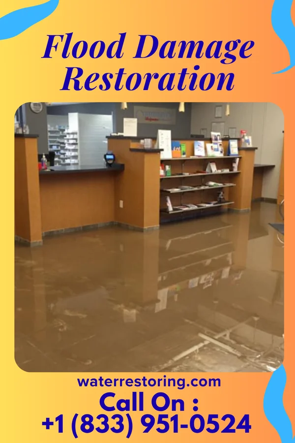 Flood Damage Restoration in Petersburg, VA